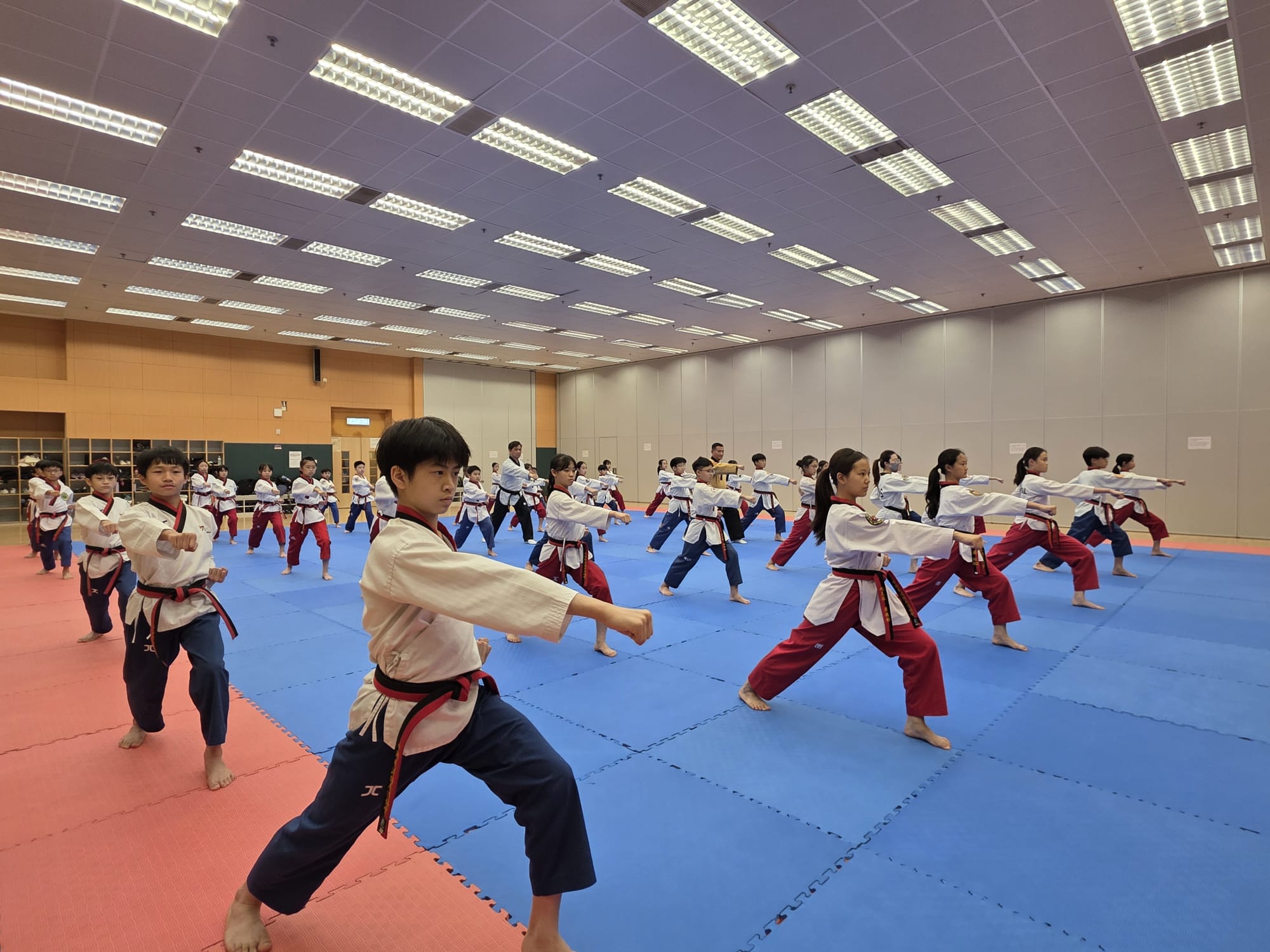 Poomsae Team Training Session